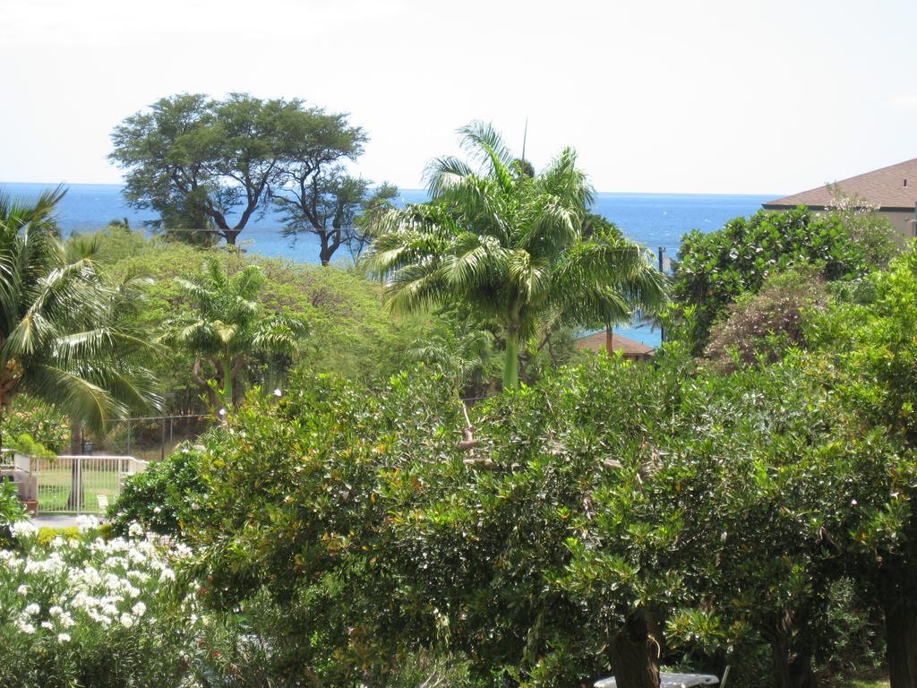Maui Vista By Maui Condo And Home Kihei Rom bilde